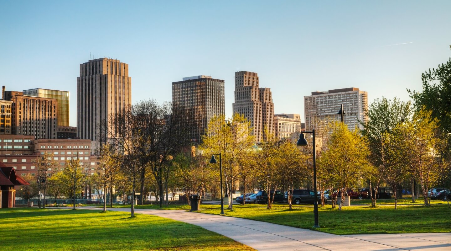 the st. paul skyline from a park